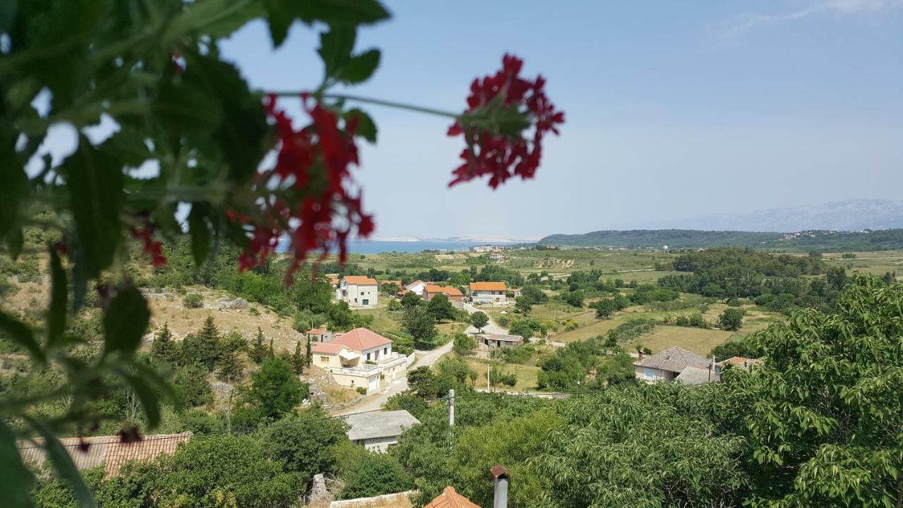 Apartment Cernesa Ražanac 外观 照片