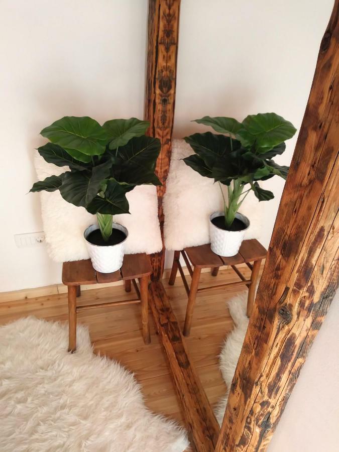 Apartment Cernesa Ražanac 外观 照片